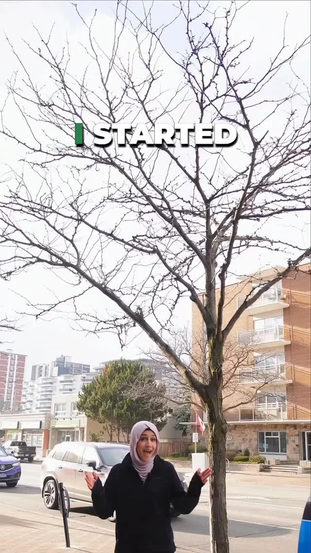 Making high quality organic products that make it easier for our community to choose themselves and make their health a priority

#juicebar #coldpressedjuice #seamoss #wellness